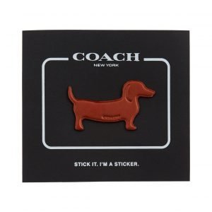 Coach Dog Nahkatarra