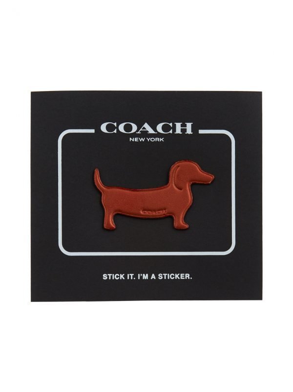 Coach Dog Nahkatarra