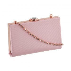 Ted Baker Alivia Necklace Hardcase Clutch Laukku